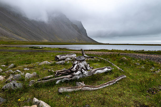 istock mountains Stokksnes  and landscape in Iceland 2243386347