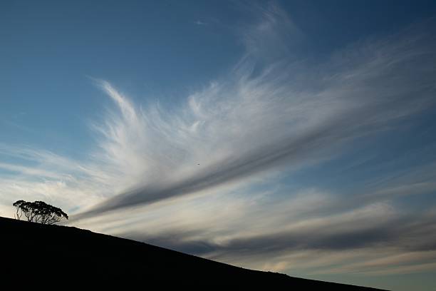 White, delicate structures of cirrostratus clouds combed by high winds against a blue sky background