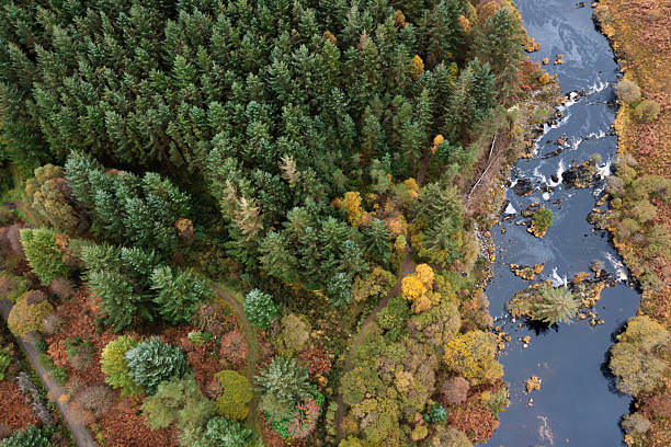 Scottish scenery