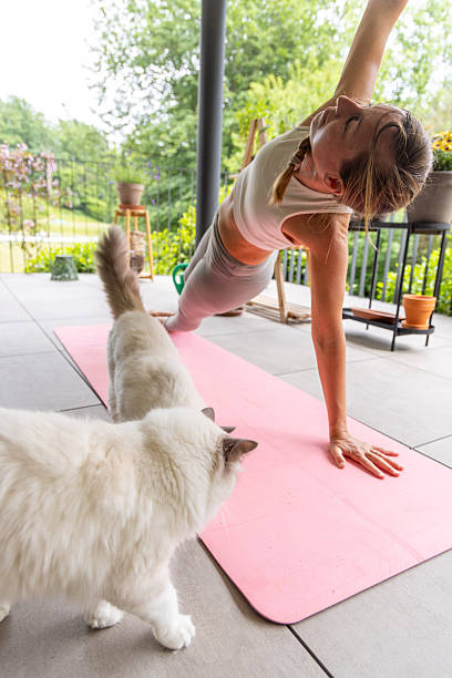 istock Woman Doing Yoga on Patio with Two Cats 2243388842