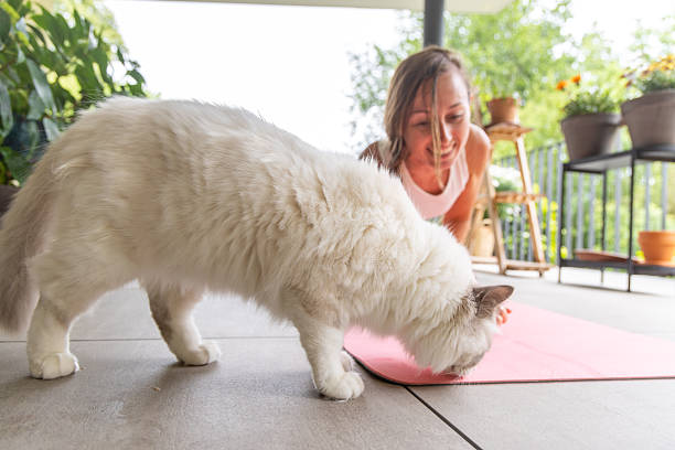 Woman Doing Yoga with Curious White Cat
