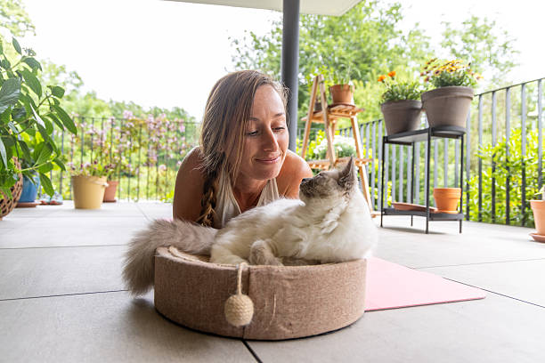 istock Woman Smiling at Cat Resting in Bed 2243389061