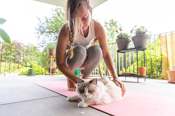 istock Woman Brushing Fluffy Cat on Yoga Mat 2243389743