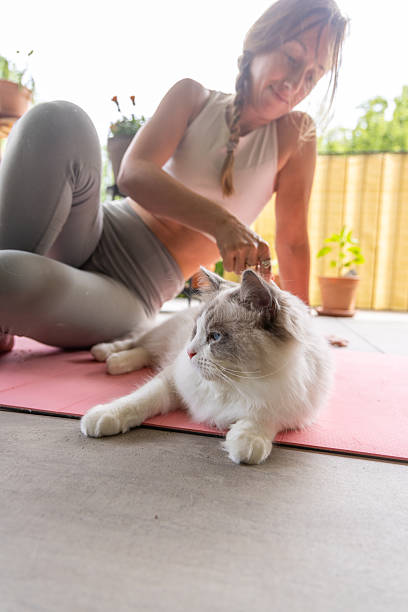 istock Woman Brushing Fluffy Cat on Yoga Mat 2243389762