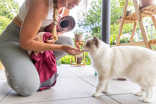 istock Woman Greeting White Cat Before Yoga Session 2243389911