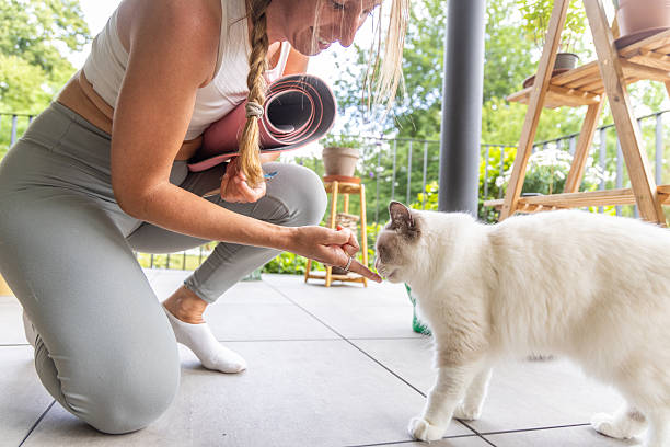 istock Woman Greeting White Cat Before Yoga Session 2243389951