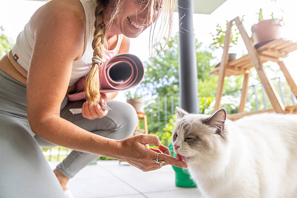 istock Woman Greeting White Cat Before Yoga Session 2243389954