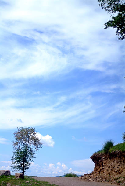 A picturesque scene featuring a clear blue sky with white clouds, a tree by the roadside, and a natural landscape.