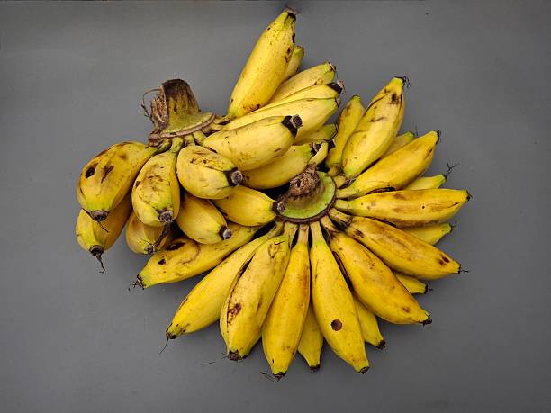 bunch of bananas, yellow, nature, banana, fruit, summer, plant, beauty, food, isolated, blossom, garden, petal, bunch, bloom, spring, white, agriculture, flowers, closeup, color, flora, tropical, ripe, healthy, diet, snack, sweet, health, vitamin, organic, nutrition, vegetarian, natural, peel, bananas, fresh, freshness, group