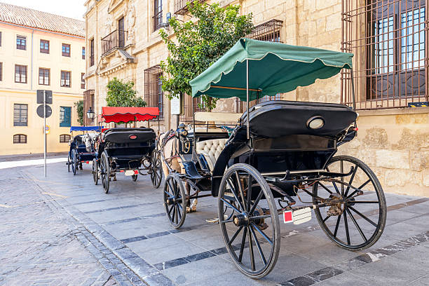 Traditional horse-drawn carriages await customers in the old city of Cordoba, Spain.