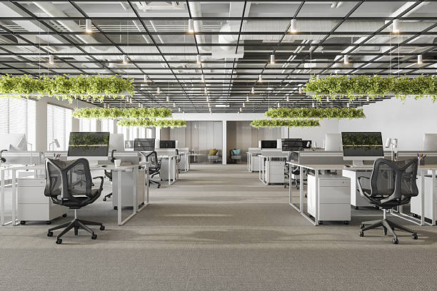 istock Spacious Contemporary Office with Natural Light and Indoor Plants 2243397224