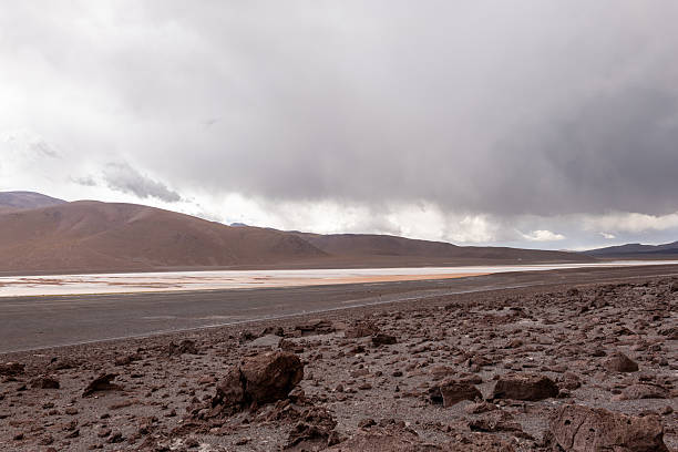 Rugged rocky terrain in a barren desert with distant hills under a cloudy sky. Dry arid landscape with scattered stones and muted earth tones. Nature scene showing harsh, open wilderness.