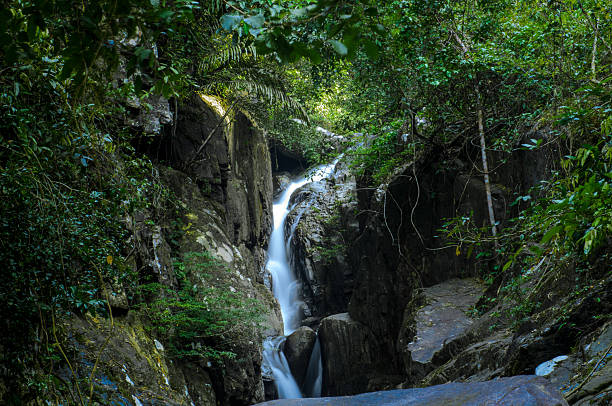 istock Small waterfall in the jungle. Lush green jungle with small cascading waterfall 2243400691