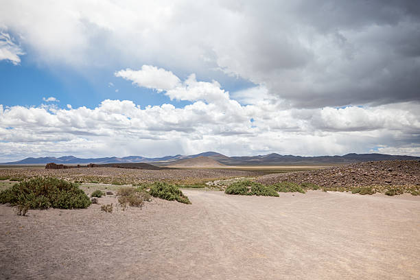 Wide desert scene with sparse bushes and rocky terrain under a cloudy sky. Expansive arid land with distant mountain range and dramatic weather. Natural dry landscape with open space.