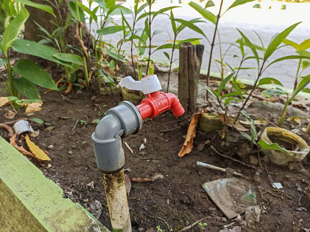 istock A red plastic faucet is connected to a grey PVC pipe, installed outdoors in a garden area surrounded by green plants and soil. 2243402975