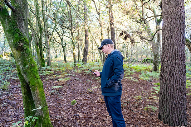 istock Man navigating with phone in autumn forest 2243404188