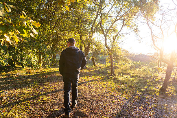 istock Adult man walking on forest path at sunset 2243404247