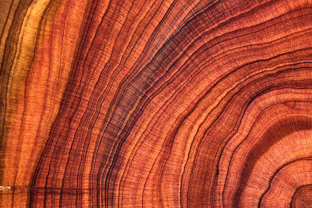 istock Wood plank to use as background and texture. 2243404782