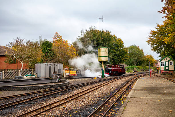 A powerful steam train puffs large clouds of smoke as it moves along a narrow railway track surrounded by verdant trees. The lush setting creates a picturesque scene showcasing vintage travel.