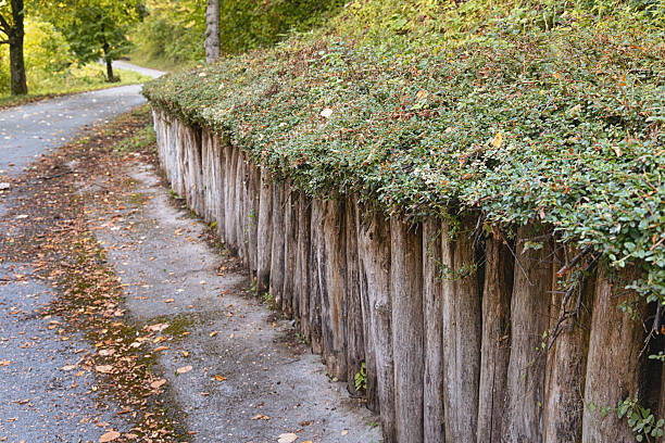 Curved road with scattered autumn leaves next to a sloped retaining wall built with vertical logs supporting a green hedge