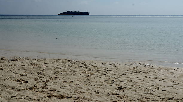 istock Sandy beach meets the calm turquoise ocean under a clear sky 2243413991