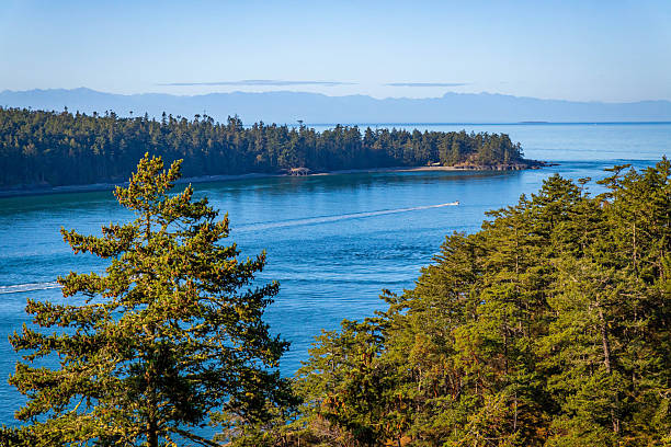 istock Aerial View of Deception Pass Waters on a Sunny Day 2243414017