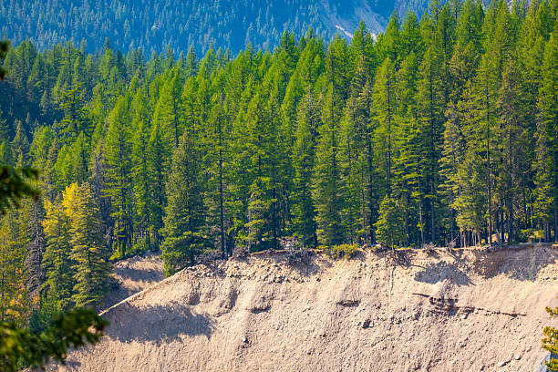 A scenic view of the Goat Lick Overlook area, a popular wildlife viewing spot in Glacier National Park, Montana
