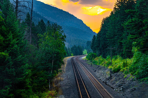 This is a photograph of railroad tracks leading towards the forest in the Great Smoky Mountains during summer in the Nantahala National Foreset, North Carolina.