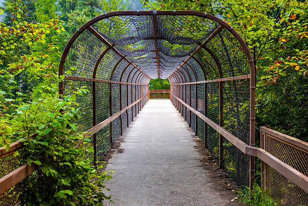 istock Cozy Forest Bridge Over the Railroad 2243414283