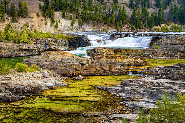 A breathtaking panoramic view of the majestic Kootenai Falls, flowing powerfully through a landscape of dense, forested mountain ridges