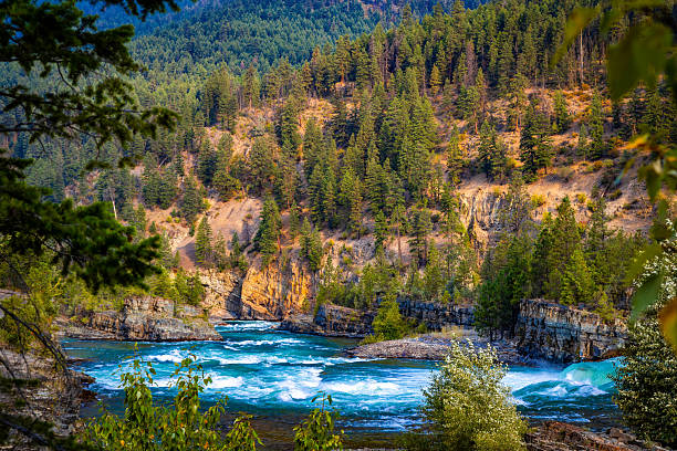 A breathtaking panoramic view of the majestic Kootenai Falls, flowing powerfully through a landscape of dense, forested mountain ridges