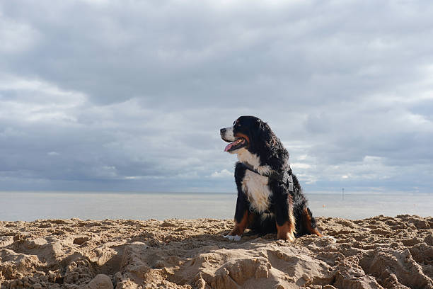 Cloudy, dark sky and sea in the background, Broadstairs, Kent