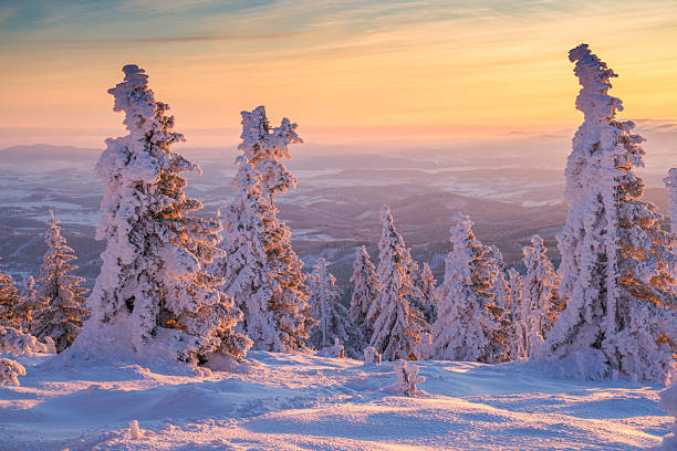 istock Snow-covered trees at sunset in winter landscape 2243419449