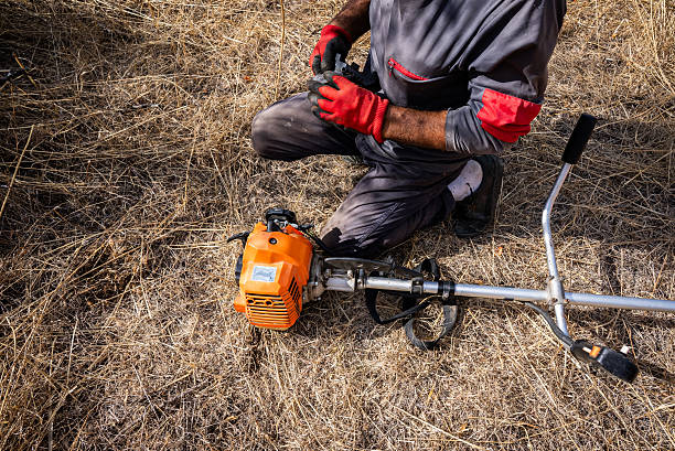 Starting a gas mower to mow grass. A man pulls the recoil starter to start the engine