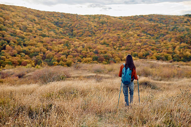 istock Woman hiking autumn landscape exploring nature with backpack 2243428559
