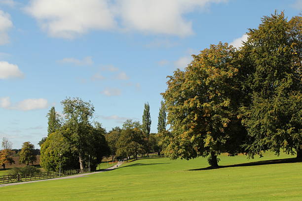 English Countryside