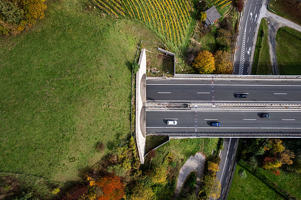 Aerial view of vehicles traveling on a bridge over a grassy field and rural roads, surrounded by autumn trees and farmland.