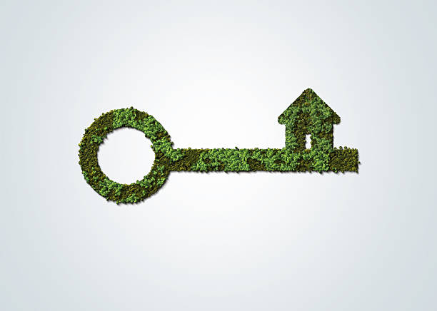 Green Key Environment day concept 3d design. Happy Environment day, 05 June. Isolated 3d render natural key symbol in white background