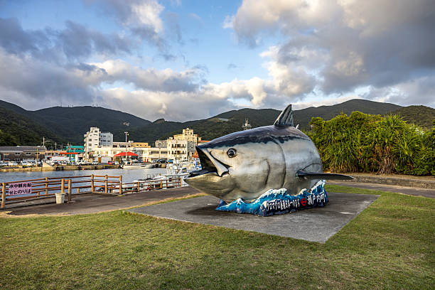 huge tuna statue in the harbor of setouchi, amami oshima, japan.