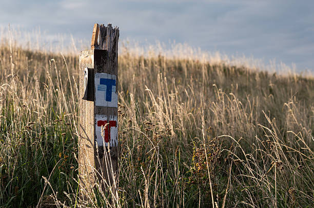 A weathered wooden post with red and blue hiking trail markers stands in a sunlit field of dry grass. The warm morning light highlights the textures of the grass and the post, creating a peaceful outdoor scene.