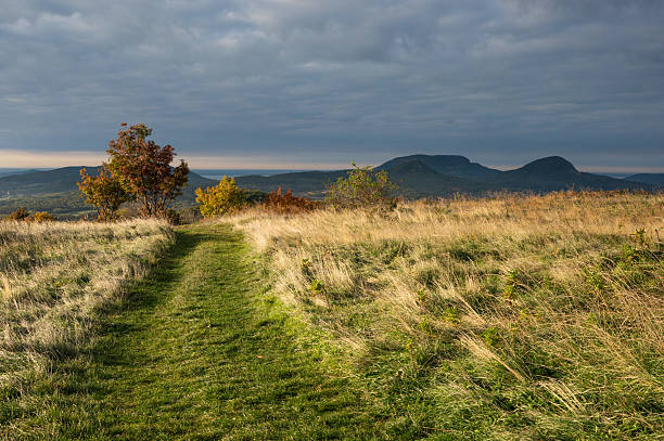 A green grassy path winds through a field of dry autumn grass toward colorful trees and distant hills. The warm light of sunrise contrasts with the dark, dramatic clouds above, creating a peaceful and atmospheric landscape.