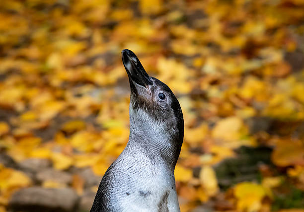 Picture from Munich zoo