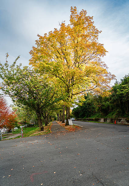 istock Autumn Lake Washington 3 2243439145