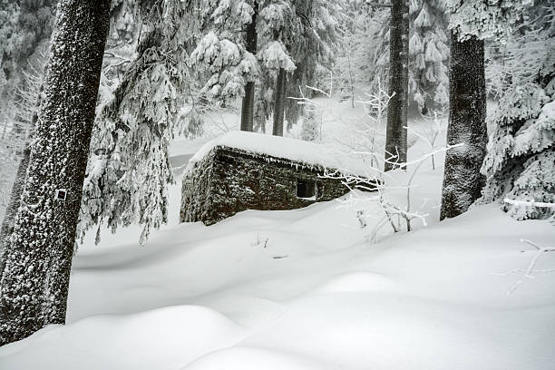 Close-up - a winter hut in a winter forest