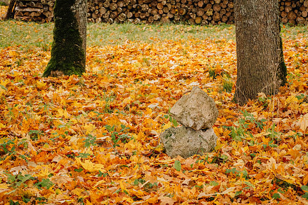 Stacked stones are positioned on a bed of colorful autumn leaves, framed by trees, creating a tranquil outdoor setting with rich textures