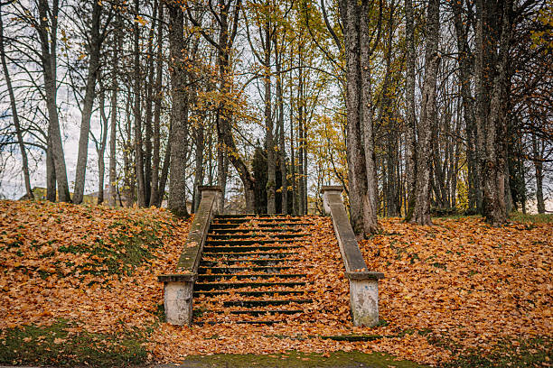 istock Autumn scene featuring stone steps surrounded by vibrant fallen leaves and tall trees, creating a serene and tranquil outdoor atmosphere 2243441625