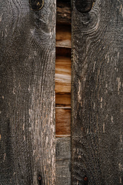 istock Close-up view of weathered wooden planks with visible grain patterns and textures, showcasing rustic charm and natural beauty in design 2243441667