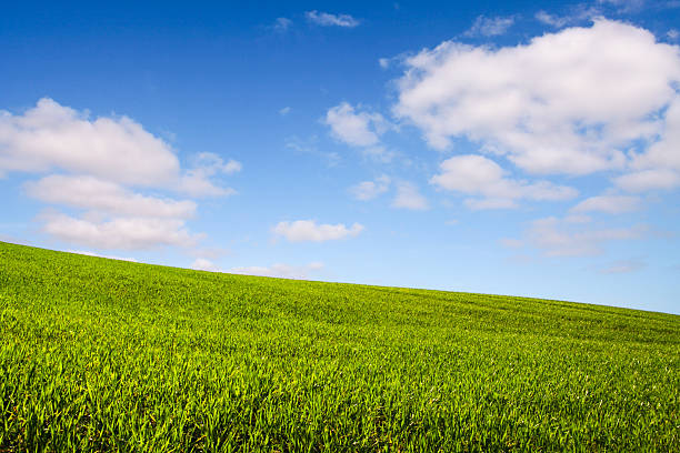 istock Cultivated fields on a green hillside in a bright spring day 2243441782