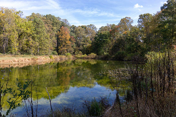 istock Rural Pond in the fall with turning leaves with reflections on a sunny afternoon. 2243441864