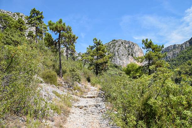 istock A footpath in nature in the hills 2243443635
